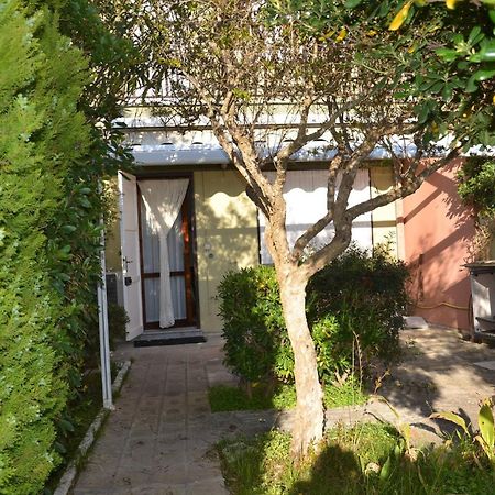 Fantastic Sardinia Villette Con Giardino Fronte Mare Fertilia Faho-Gav01-Gav02 מראה חיצוני תמונה