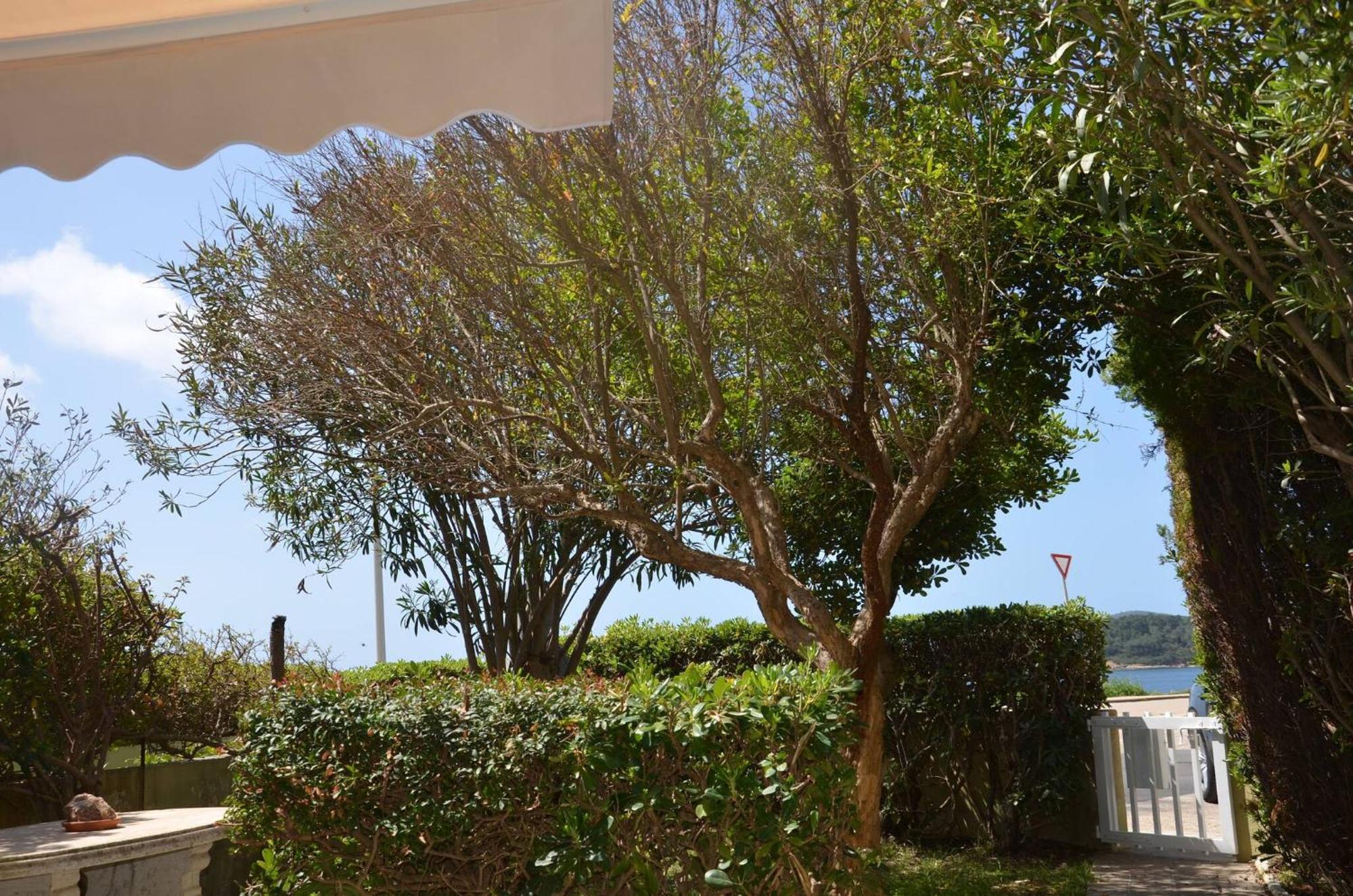 Fantastic Sardinia Villette Con Giardino Fronte Mare Fertilia Faho-Gav01-Gav02 מראה חיצוני תמונה