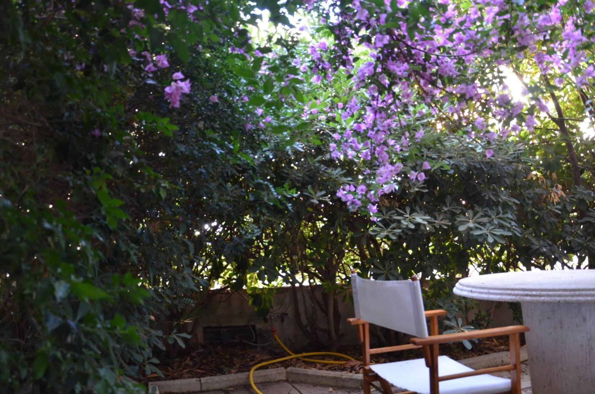 Fantastic Sardinia Villette Con Giardino Fronte Mare Fertilia Faho-Gav01-Gav02 מראה חיצוני תמונה
