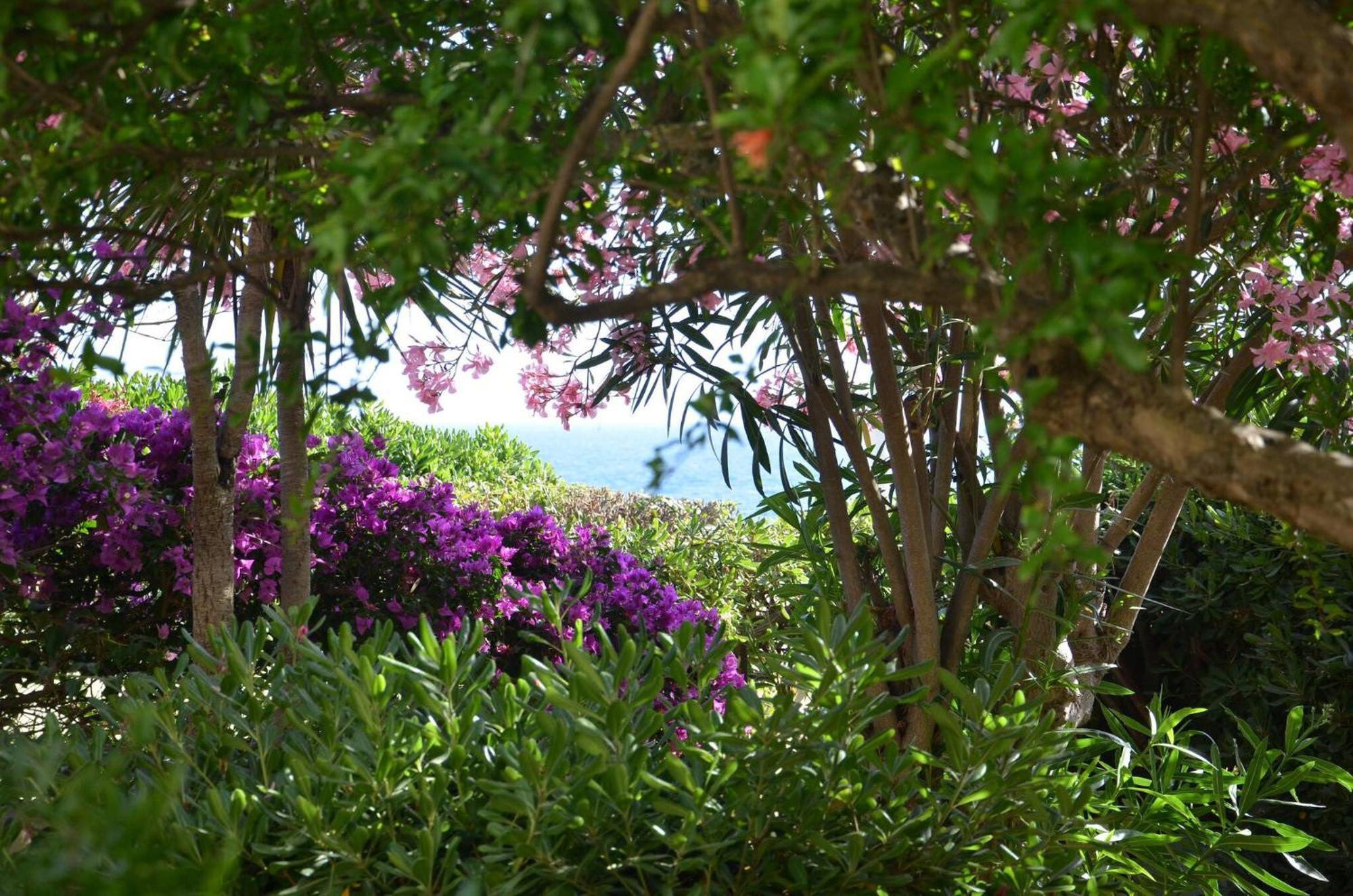 Fantastic Sardinia Villette Con Giardino Fronte Mare Fertilia Faho-Gav01-Gav02 מראה חיצוני תמונה