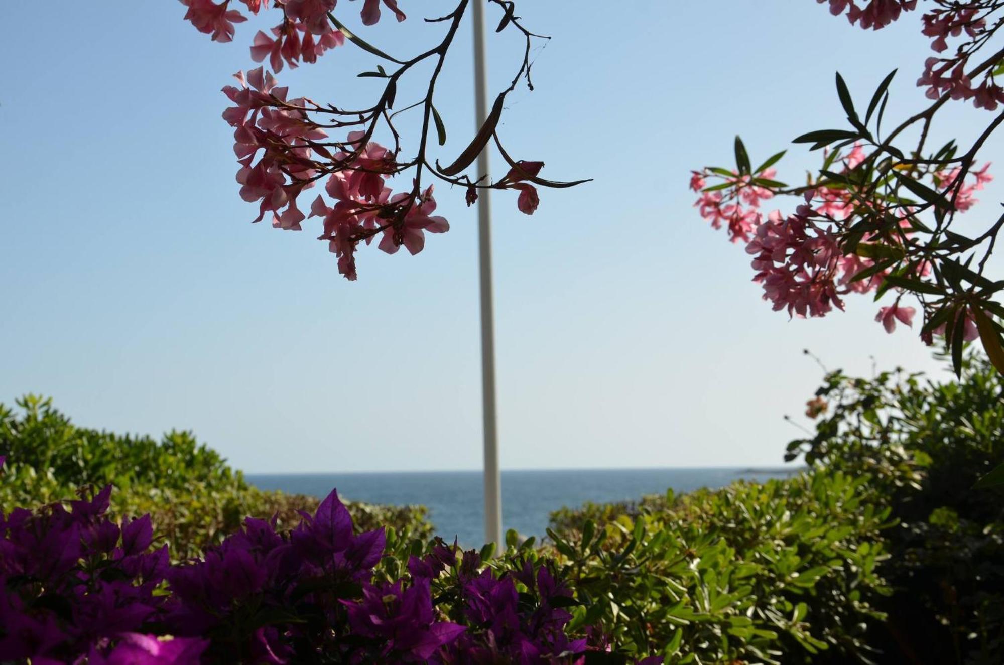 Fantastic Sardinia Villette Con Giardino Fronte Mare Fertilia Faho-Gav01-Gav02 מראה חיצוני תמונה