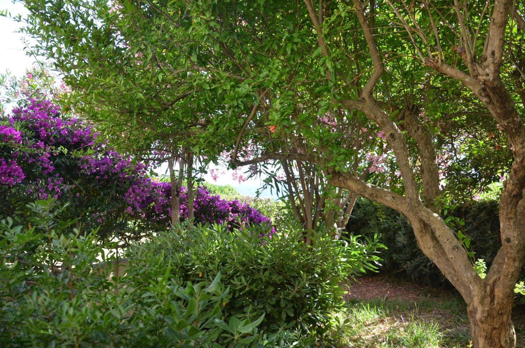 Fantastic Sardinia Villette Con Giardino Fronte Mare Fertilia Faho-Gav01-Gav02 מראה חיצוני תמונה