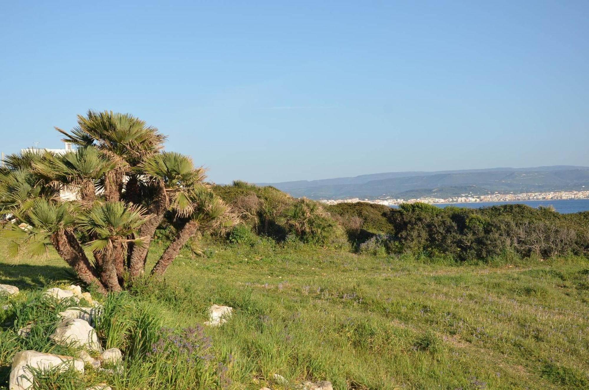 Fantastic Sardinia Villette Con Giardino Fronte Mare Fertilia Faho-Gav01-Gav02 מראה חיצוני תמונה