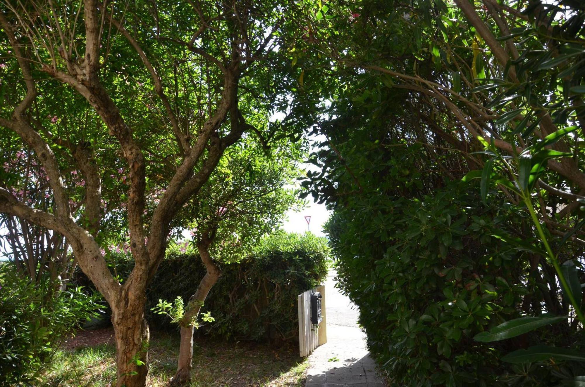 Fantastic Sardinia Villette Con Giardino Fronte Mare Fertilia Faho-Gav01-Gav02 מראה חיצוני תמונה