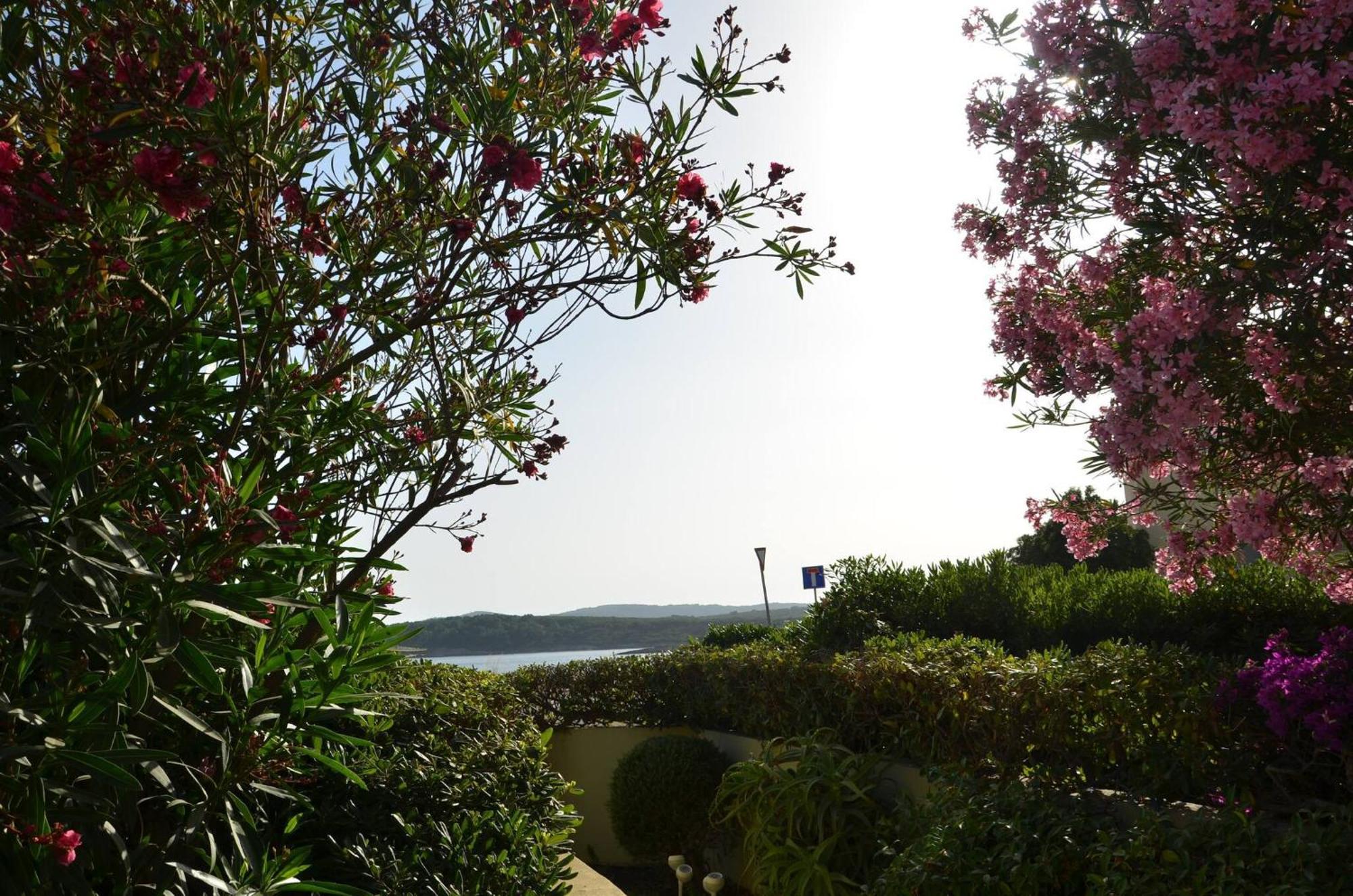 Fantastic Sardinia Villette Con Giardino Fronte Mare Fertilia Faho-Gav01-Gav02 מראה חיצוני תמונה