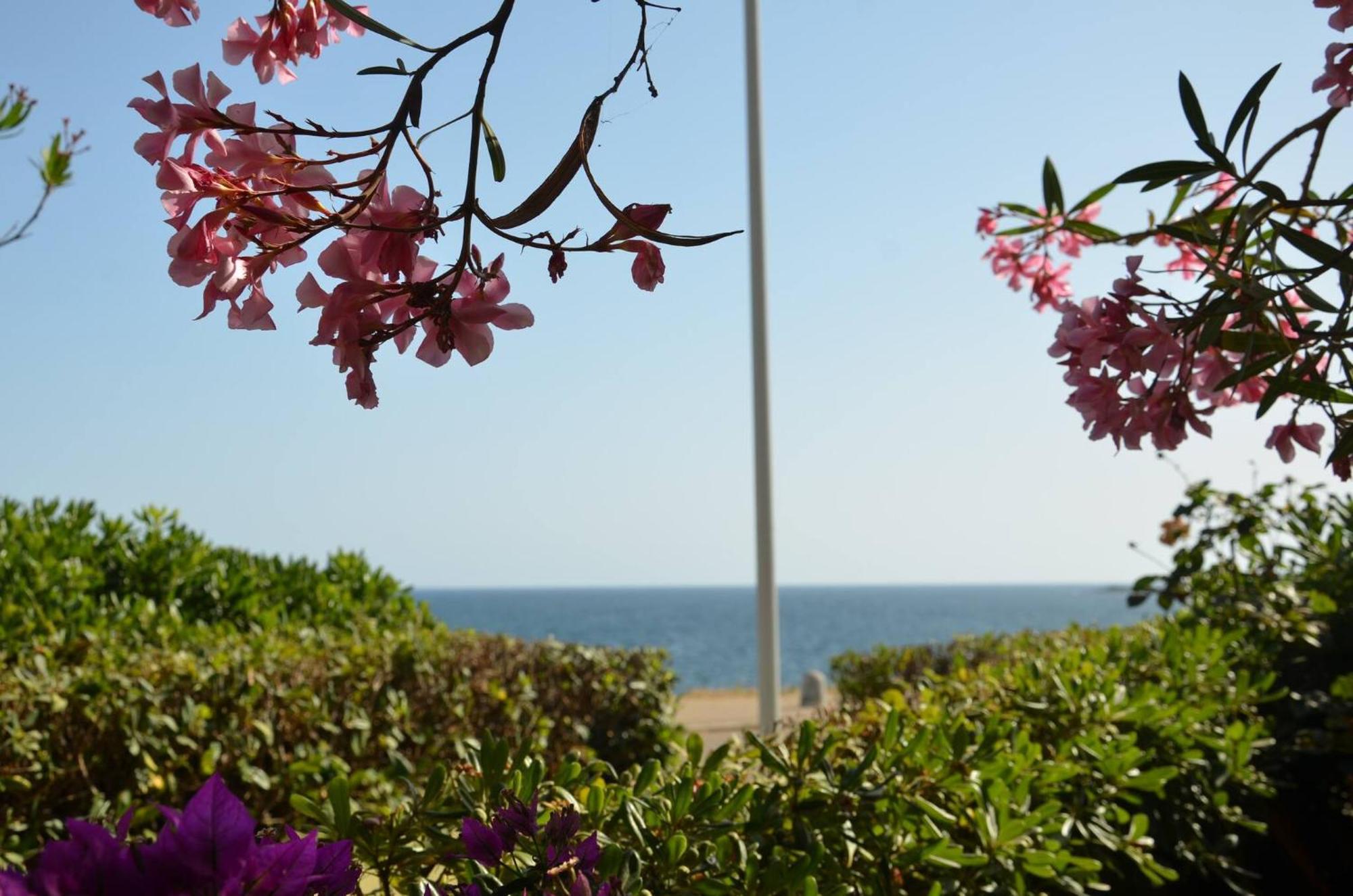 Fantastic Sardinia Villette Con Giardino Fronte Mare Fertilia Faho-Gav01-Gav02 מראה חיצוני תמונה
