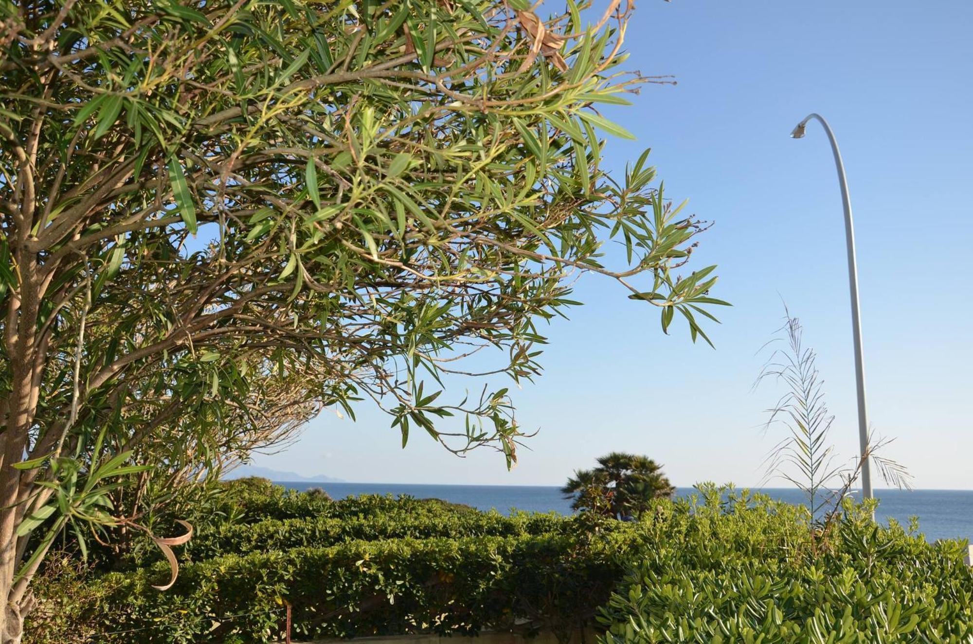 Fantastic Sardinia Villette Con Giardino Fronte Mare Fertilia Faho-Gav01-Gav02 מראה חיצוני תמונה