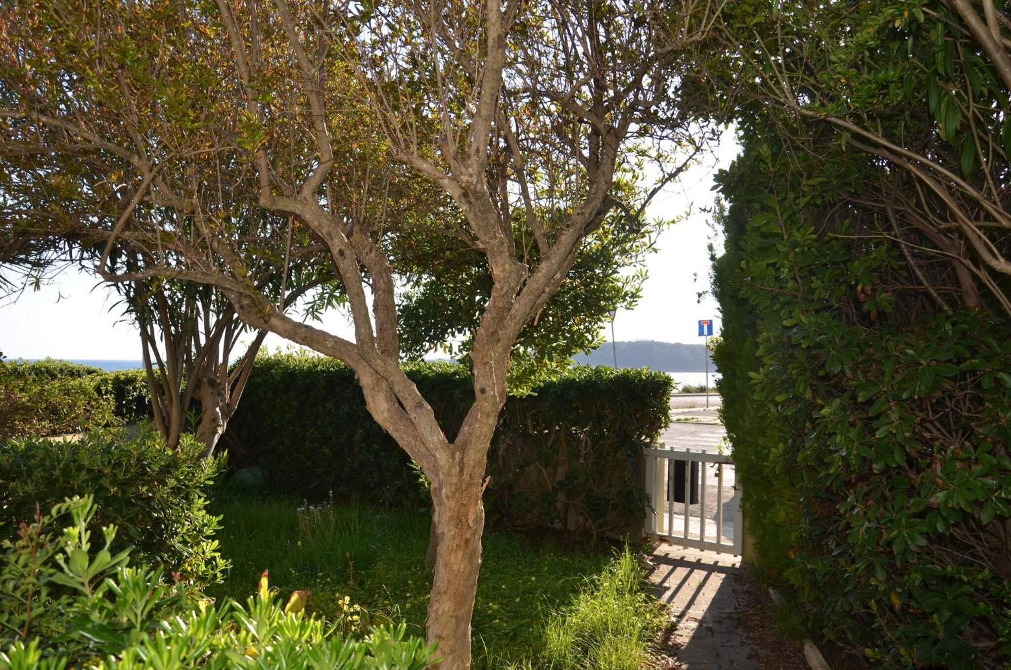 Fantastic Sardinia Villette Con Giardino Fronte Mare Fertilia Faho-Gav01-Gav02 מראה חיצוני תמונה